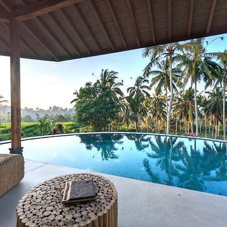 Puri Dajuma Terrace Eco Lodge & Spa Selemadeg  외부 사진