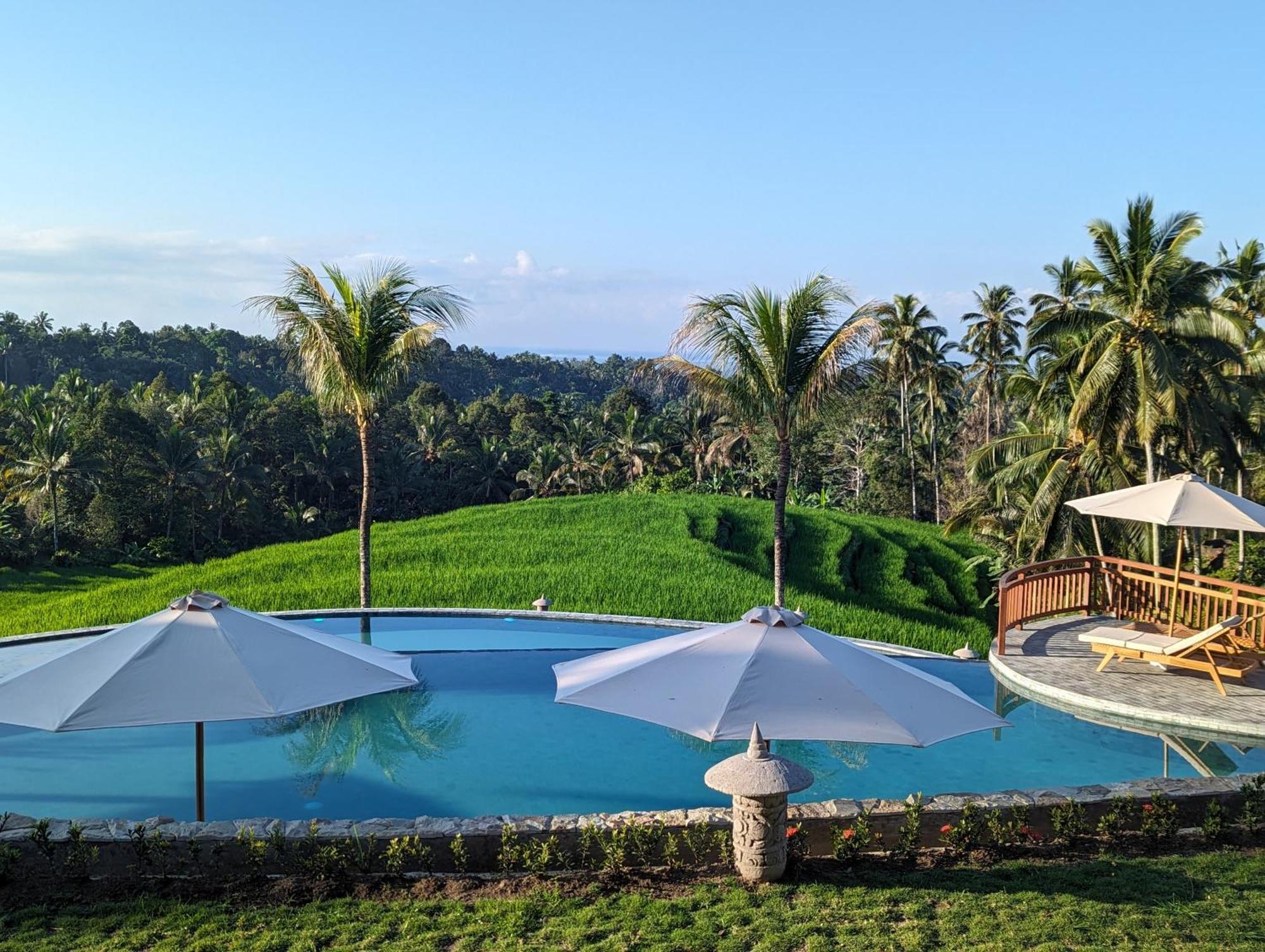 Puri Dajuma Terrace Eco Lodge & Spa Selemadeg  외부 사진