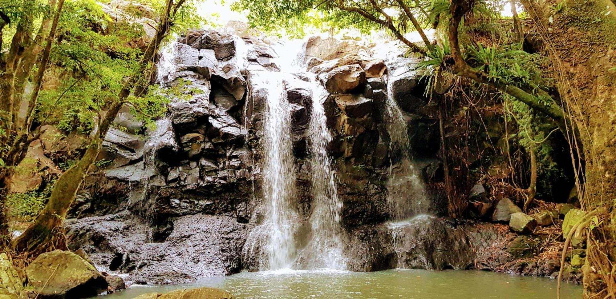 Puri Dajuma Terrace Eco Lodge & Spa Selemadeg  외부 사진