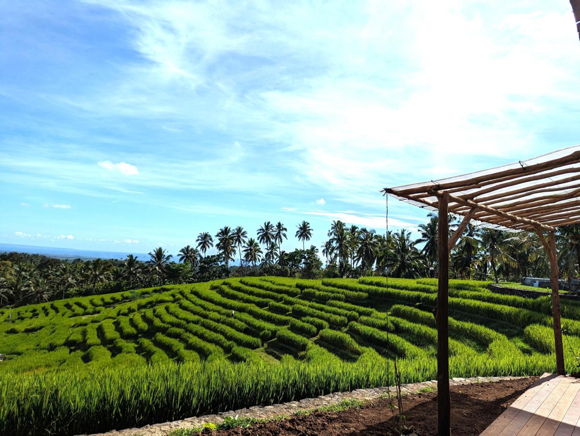 Puri Dajuma Terrace Eco Lodge & Spa Selemadeg  외부 사진
