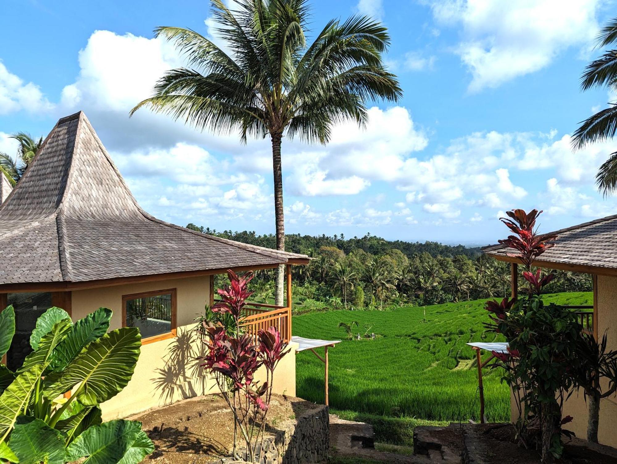 Puri Dajuma Terrace Eco Lodge & Spa Selemadeg  외부 사진