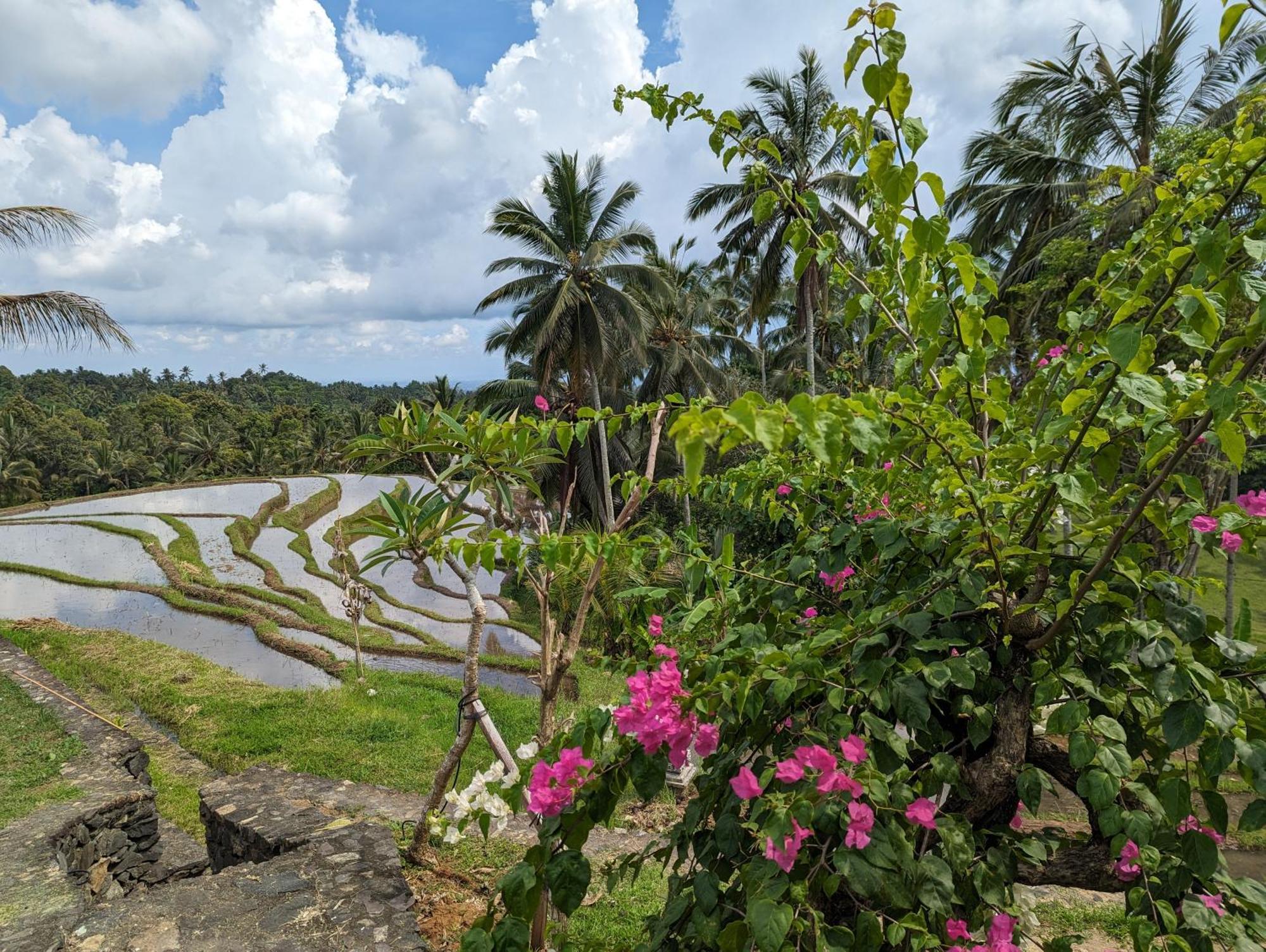 Puri Dajuma Terrace Eco Lodge & Spa Selemadeg  외부 사진