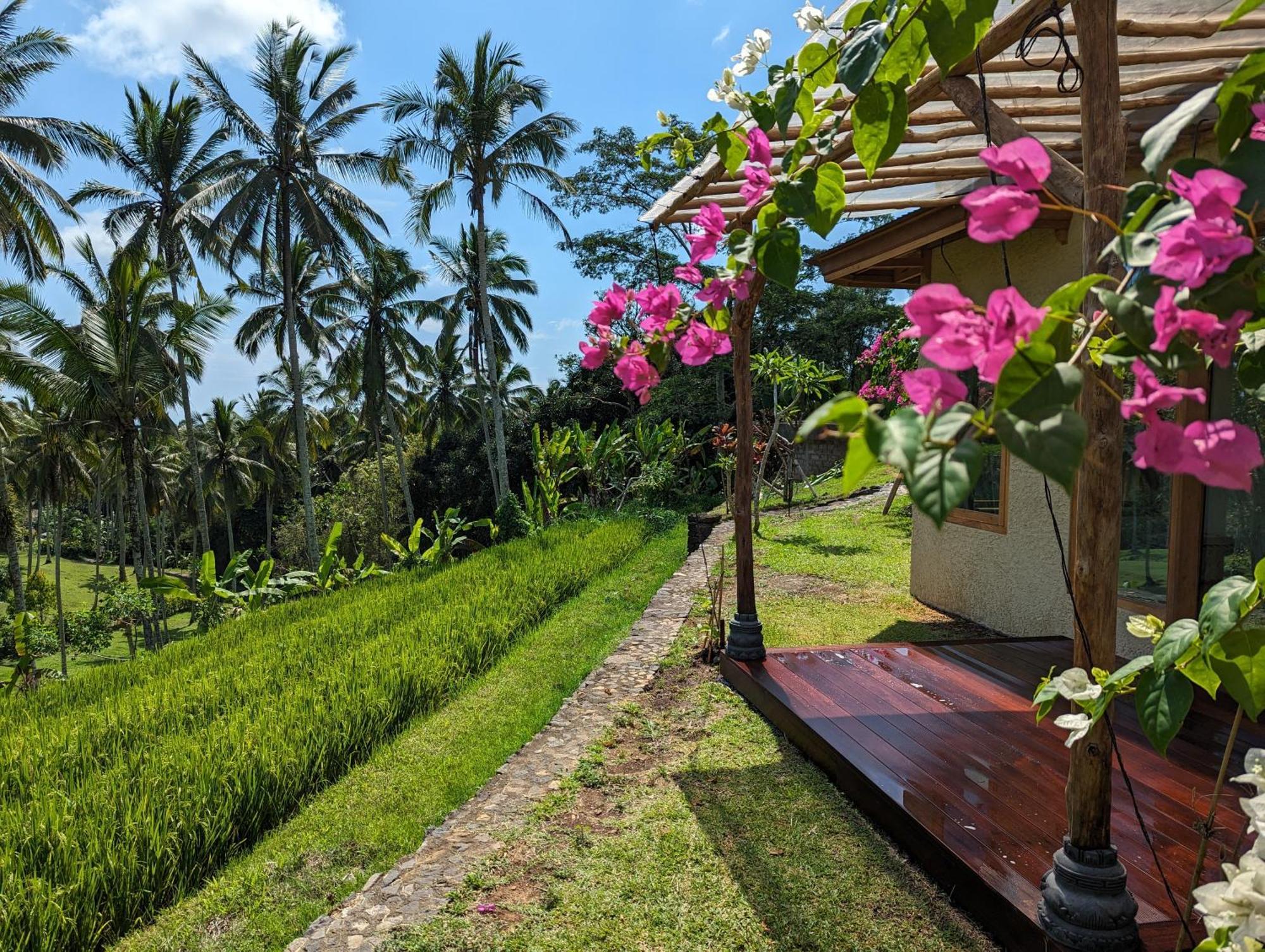 Puri Dajuma Terrace Eco Lodge & Spa Selemadeg  외부 사진